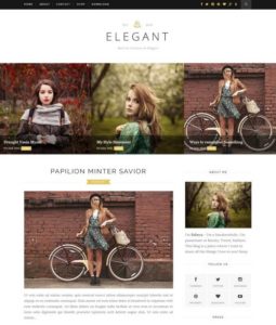 elegant blogger template